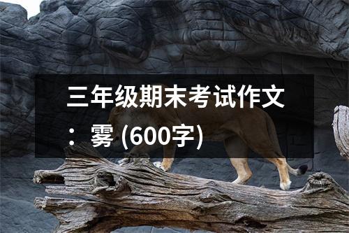 三年級(jí)期末考試作文：霧 (600字)