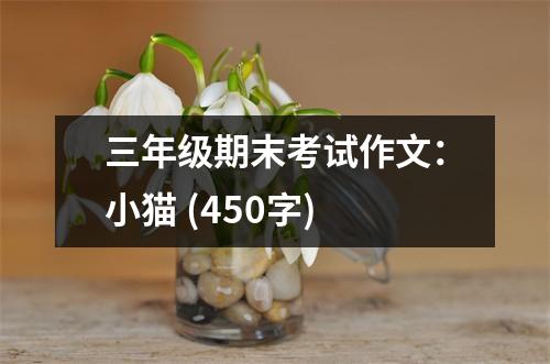 三年級(jí)期末考試作文：小貓 (450字)