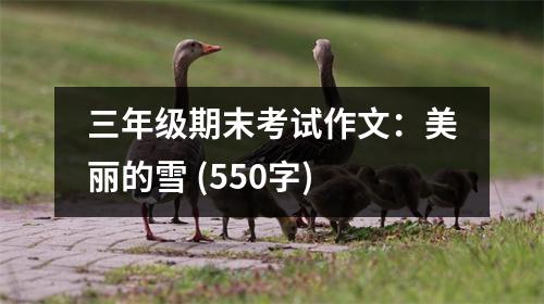 三年級(jí)期末考試作文：美麗的雪 (550字)