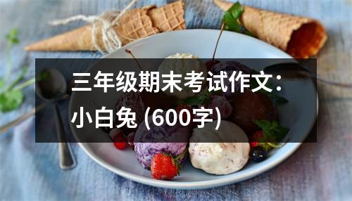 三年級(jí)期末考試作文：小白兔 (600字)