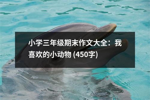 小學(xué)三年級(jí)期末作文大全：我喜歡的小動(dòng)物 (450字)