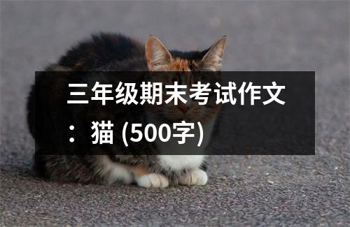 三年級(jí)期末考試作文：貓 (500字)