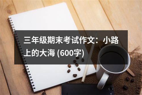 三年級期末考試作文：小路上的大海 (600字)