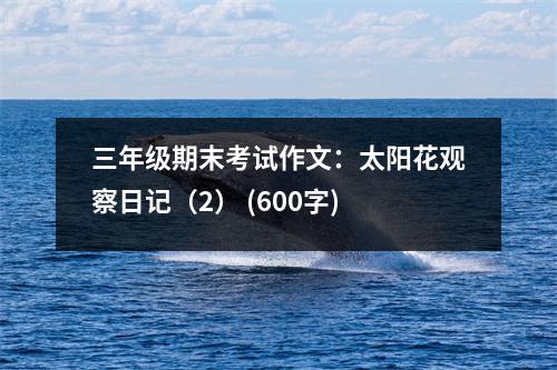 三年級期末考試作文：太陽花觀察日記（2） (600字)
