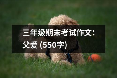 三年級期末考試作文：父愛 (550字)