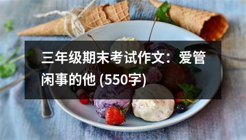 三年級期末考試作文：愛管閑事的他 (550字)