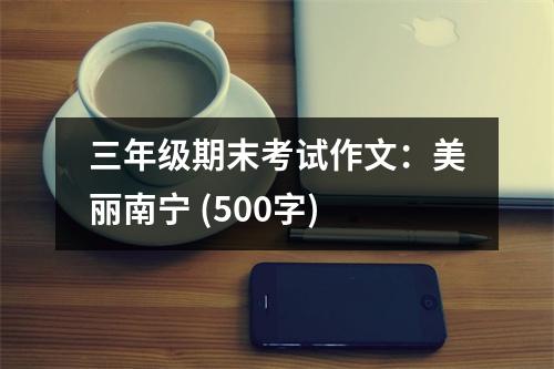 三年級期末考試作文：美麗南寧 (500字)
