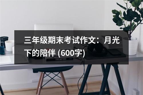 三年級期末考試作文：月光下的陪伴 (600字)