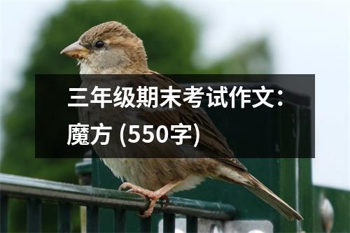 三年級期末考試作文：魔方 (550字)