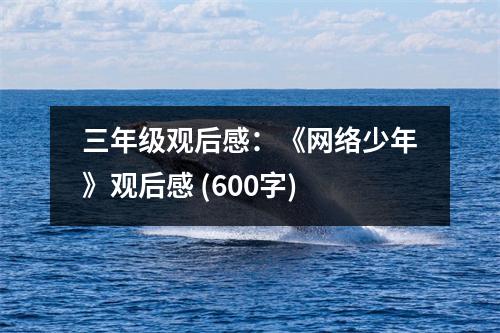 三年級(jí)觀后感：《網(wǎng)絡(luò)少年》觀后感 (600字)