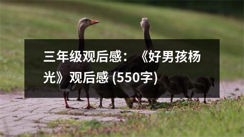 三年級(jí)觀后感：《好男孩楊光》觀后感 (550字)