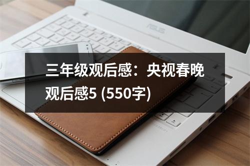 三年級(jí)觀后感：央視春晚觀后感5 (550字)