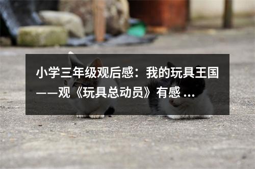 小學(xué)三年級(jí)觀后感：我的玩具王國(guó)——觀《玩具總動(dòng)員》有感 (500字)