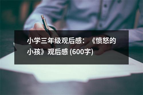 小學(xué)三年級觀后感：《憤怒的小孩》觀后感 (600字)