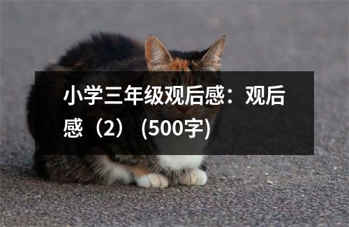 小學(xué)三年級觀后感：觀后感（2） (500字)