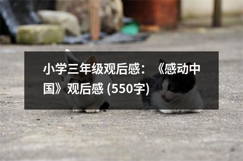 小學(xué)三年級觀后感：《感動中國》觀后感 (550字)