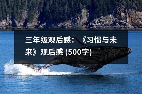 三年級觀后感：《習(xí)慣與未來》觀后感 (500字)