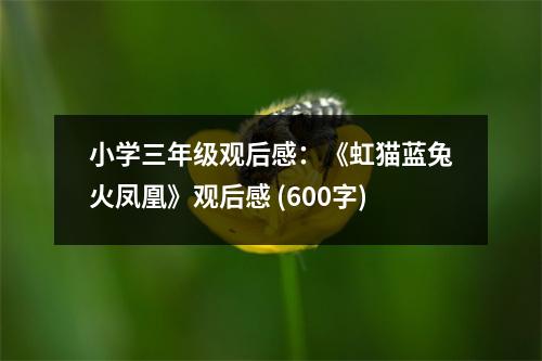 小學三年級觀后感：《虹貓藍兔火鳳凰》觀后感 (600字)