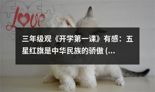 三年級觀《開學第一課》有感：五星紅旗是中華民族的驕傲 (500字)