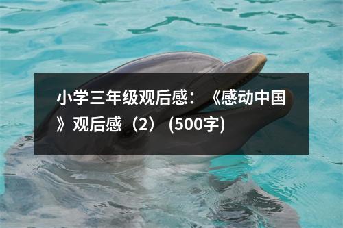 小學三年級觀后感：《感動中國》觀后感（2） (500字)