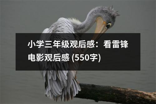 小學三年級觀后感：看雷鋒電影觀后感 (550字)