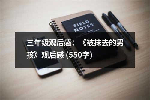 三年級觀后感：《被抹去的男孩》觀后感 (550字)
