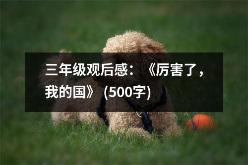 三年級觀后感：《厲害了，我的國》 (500字)