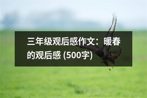 三年級(jí)觀后感作文：暖春的觀后感 (500字)