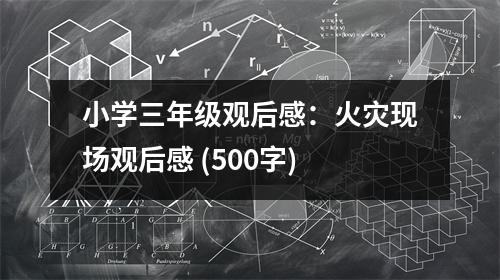 小學(xué)三年級(jí)觀后感：火災(zāi)現(xiàn)場(chǎng)觀后感 (500字)