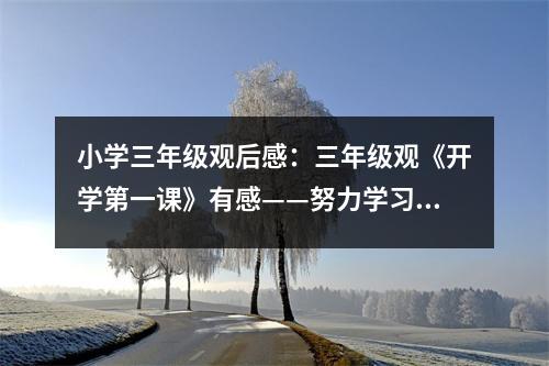 小學(xué)三年級(jí)觀后感：三年級(jí)觀《開學(xué)第一課》有感——努力學(xué)習(xí)，快樂成長(zhǎng) (500字)