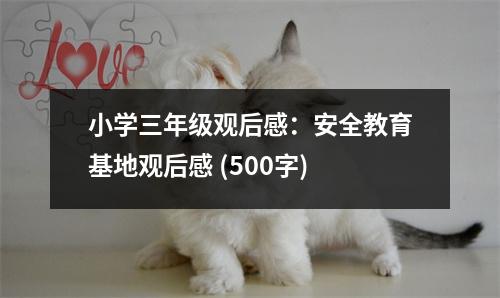小學(xué)三年級(jí)觀后感：安全教育基地觀后感 (500字)