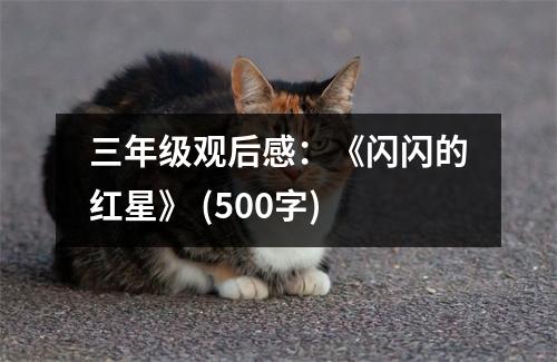 三年級(jí)觀后感：《閃閃的紅星》 (500字)