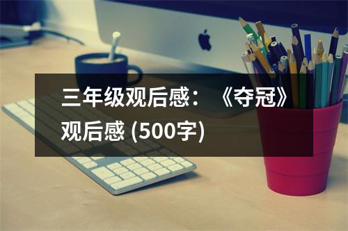 三年級觀后感：《奪冠》觀后感 (500字)