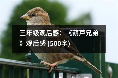 三年級觀后感：《葫蘆兄弟》觀后感 (500字)