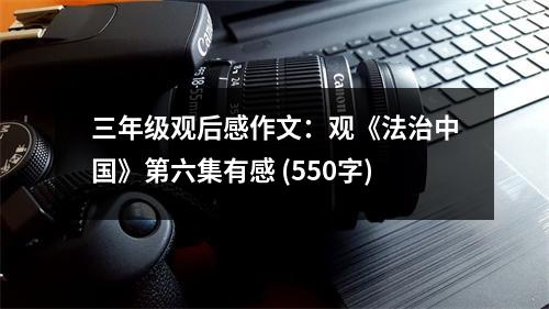 三年級觀后感作文：觀《法治中國》第六集有感 (550字)