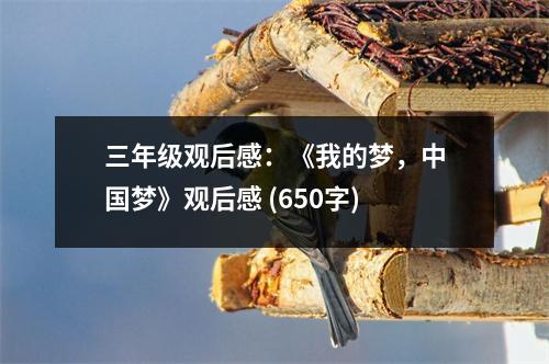 三年級觀后感：《我的夢，中國夢》觀后感 (650字)