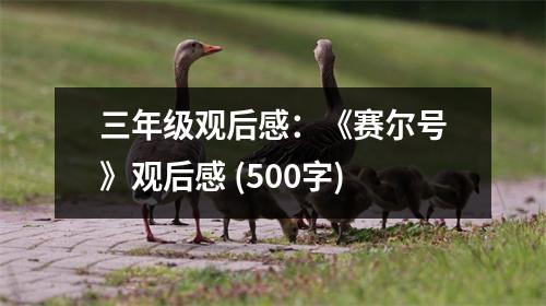 三年級觀后感：《賽爾號》觀后感 (500字)