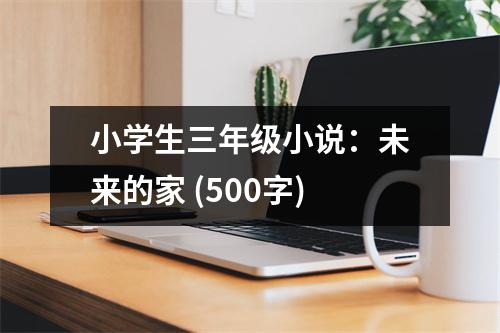 小學(xué)生三年級小說：未來的家 (500字)