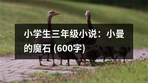 小學(xué)生三年級小說：小曼的魔石 (600字)