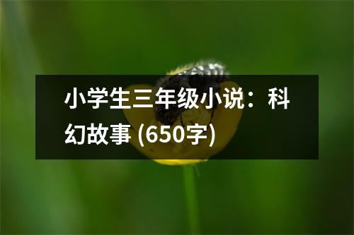 小學(xué)生三年級小說：科幻故事 (650字)