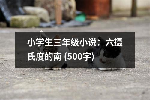 小學(xué)生三年級小說：六攝氏度的南 (500字)