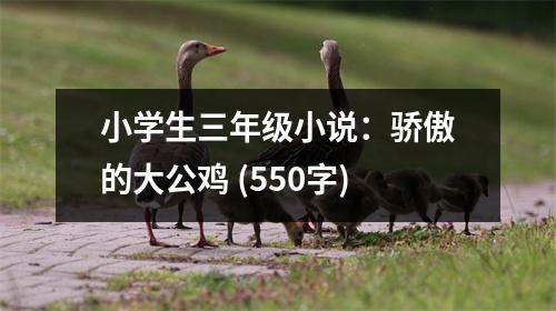 小學(xué)生三年級小說：驕傲的大公雞 (550字)