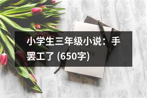 小學(xué)生三年級小說：手罷工了 (650字)