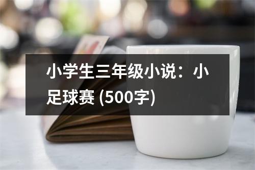 小學(xué)生三年級小說：小足球賽 (500字)