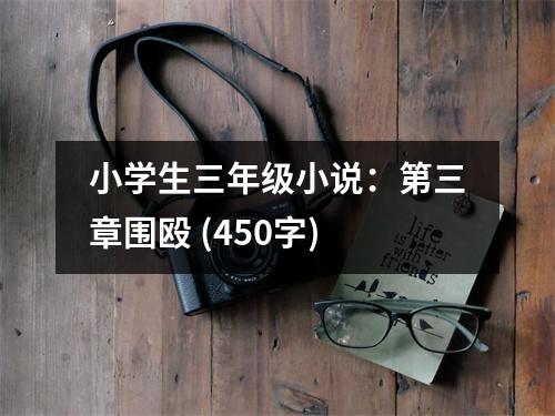 小學(xué)生三年級小說：第三章圍毆 (450字)