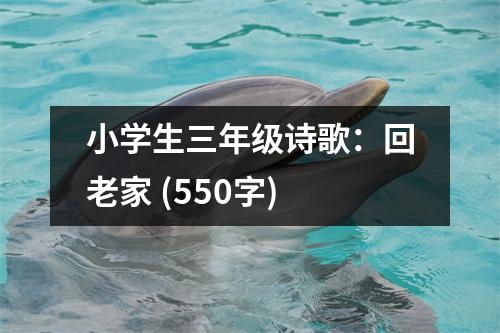 小學生三年級詩歌：回老家 (550字)