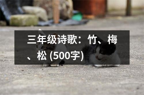 三年級詩歌：竹、梅、松 (500字)