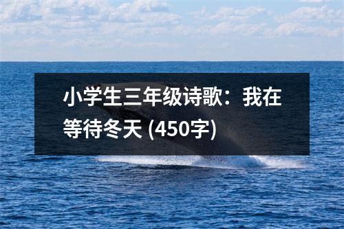 小學(xué)生三年級詩歌：我在等待冬天 (450字)
