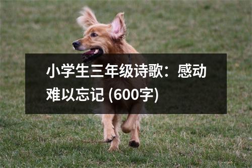 小學(xué)生三年級詩歌：感動難以忘記 (600字)