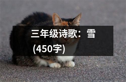 三年級(jí)詩(shī)歌：雪 (450字)